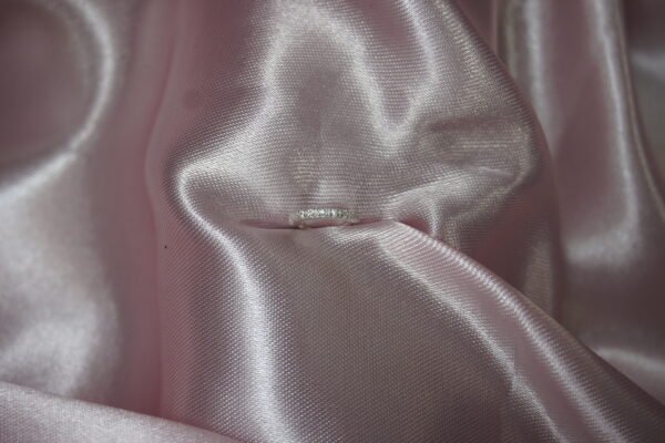 Piercing Argola Cravejada - Imagem 2